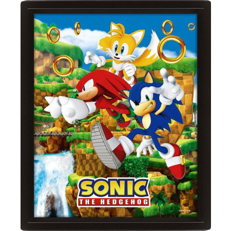 Sonic The Hedgehog 3D Lenticular plagát Catching Rings 26 x 20 cm